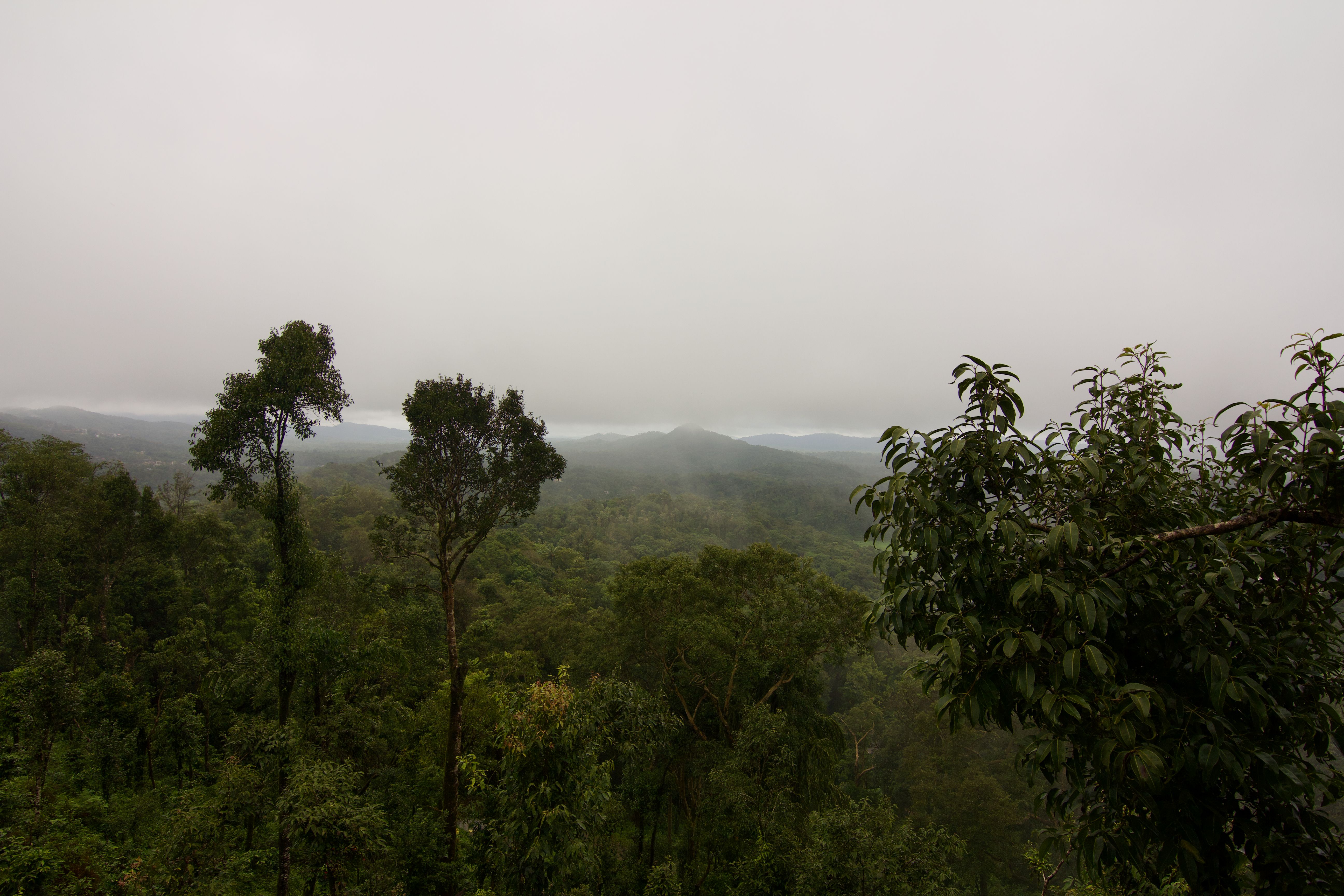 Scenery in Coorg