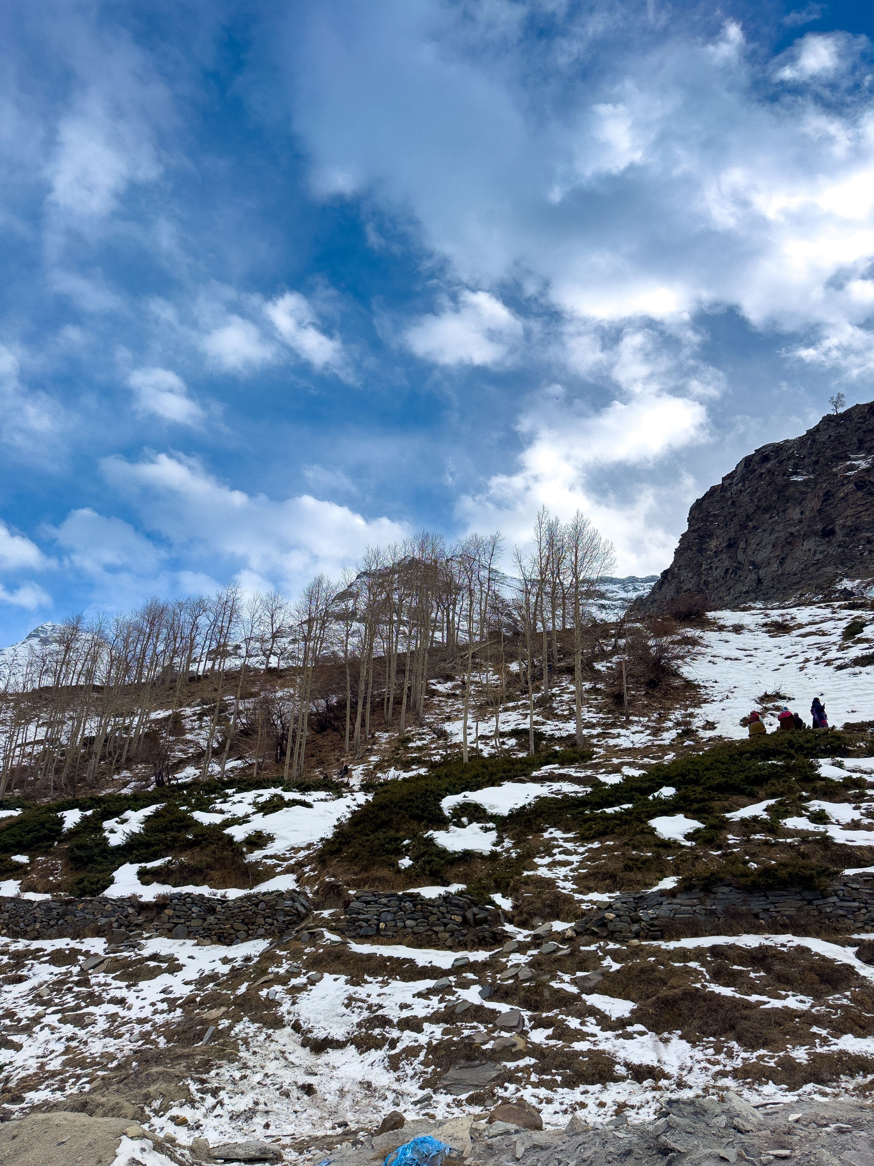 Snowy Heights of Manali