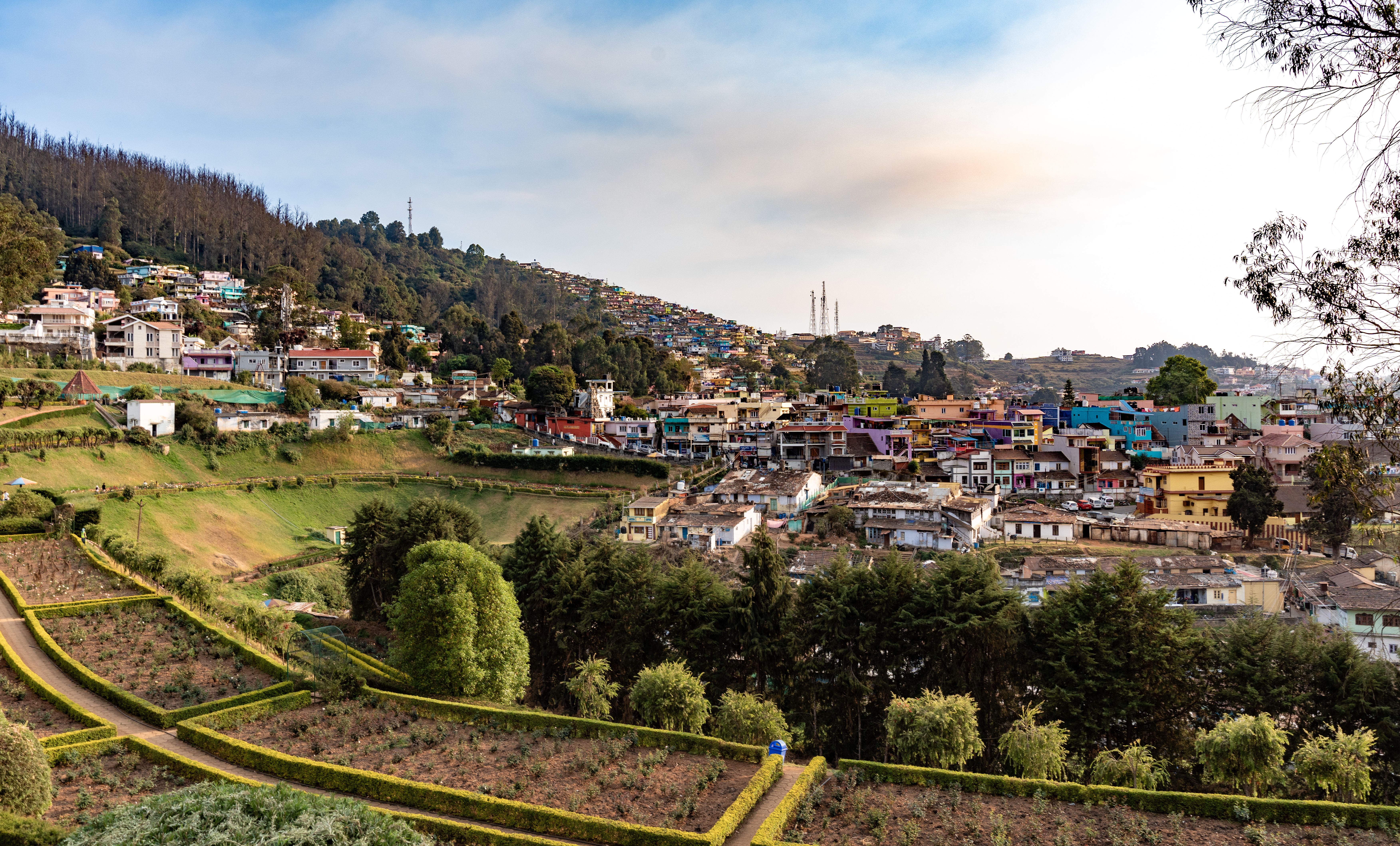 Scenery in Ooty